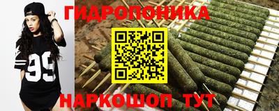 СК Кунгур
