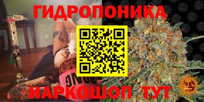 СК Кунгур