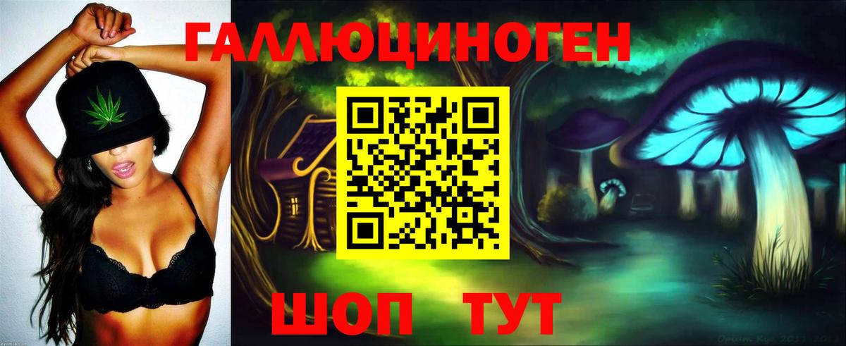 Псилоцибиновые грибы Cubensis  Вход с VPN  Кемерово 